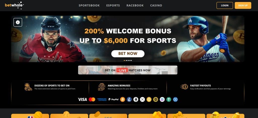 BetWhale front page screenshot showing the main welcome promotion and payment methods